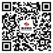 鲁泽集团
